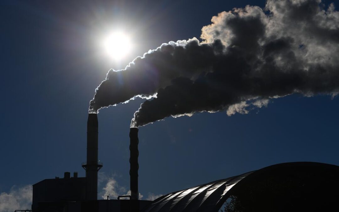 Climate emitters opt for cheap offsets, few real cuts