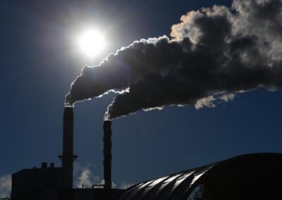 Climate emitters opt for cheap offsets, few real cuts