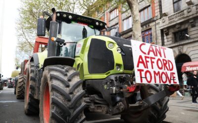 Irish minister quits over govt response to fuel demos