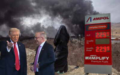 The Iran war and the price of Albanese’s complicity