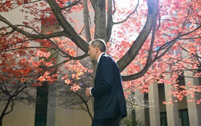 Federal budget to dominate the economic agenda