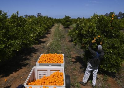 Migrants help keep rural Australia alive, farmers say