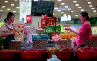 China’s economy loses steam as domestic demand drops