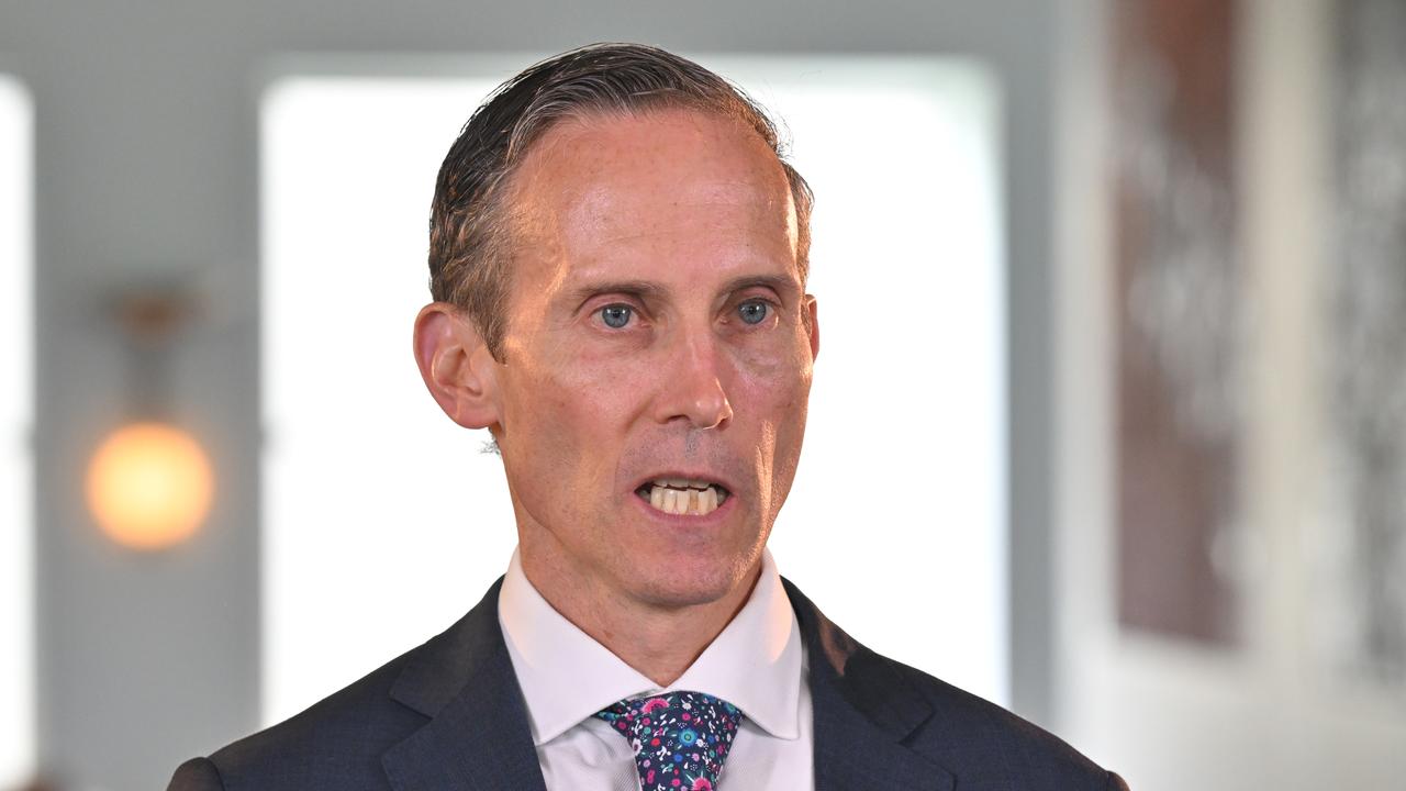 Andrew Leigh (file image)