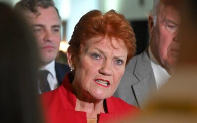 Pauline Hanson refuses to condemn Dezi Freeman defender