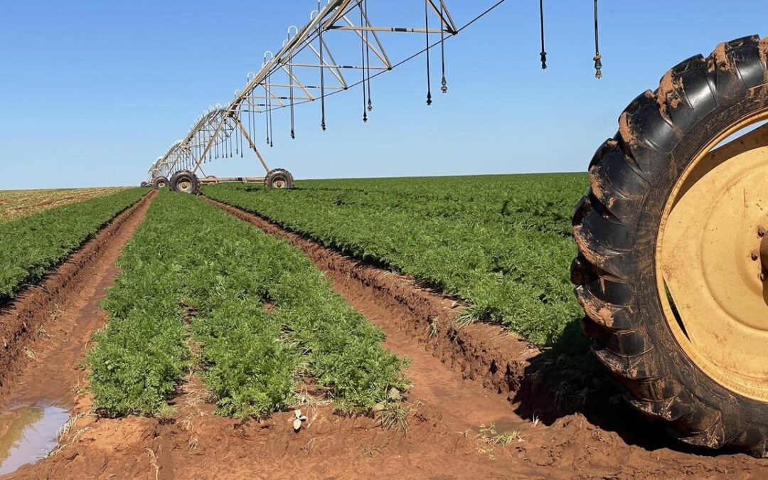 Global capital eyes $50b water market, raising stakes