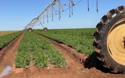 Global capital eyes $50b water market, raising stakes