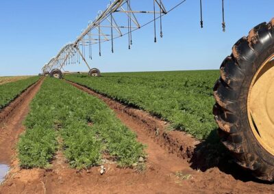 Global capital eyes $50b water market, raising stakes