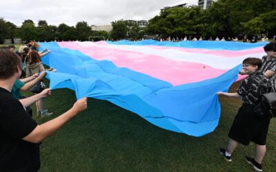 Liberal, One Nation on attack over discrimination laws