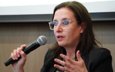 Running interference for the DPP. Has the NACC redefined its role?
