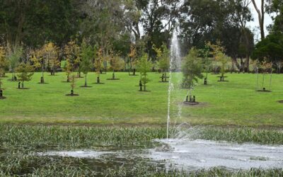 As cemeteries fill, Australians choose forests