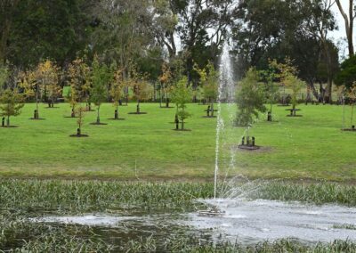 As cemeteries fill, Australians choose forests