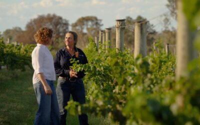 Garbage to glass: larvae helps turn waste into wine