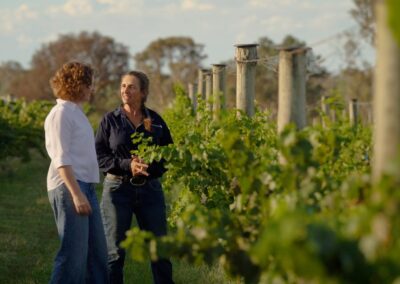 Garbage to glass: larvae helps turn waste into wine