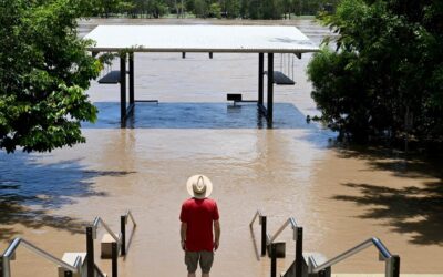 Green groups warn climate courage missing from budget