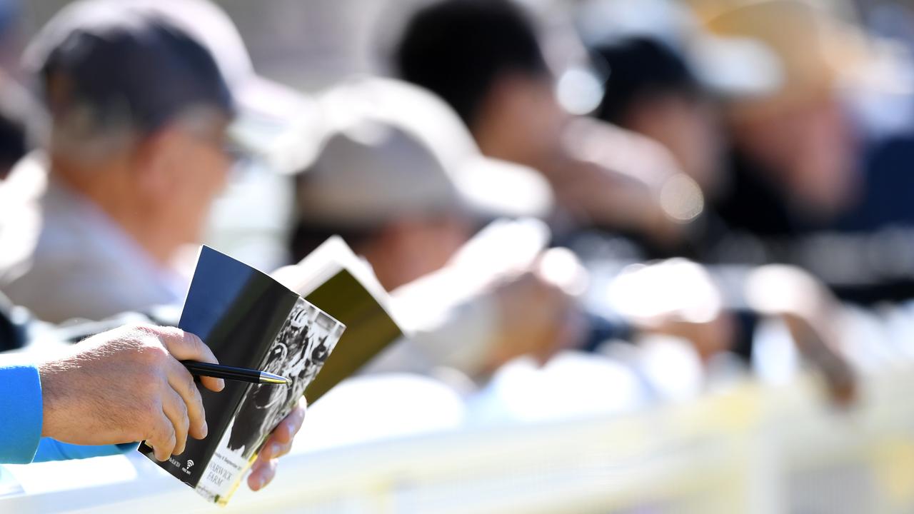 People at the races