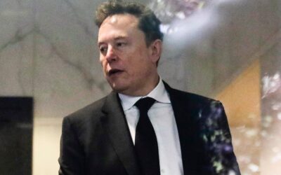 Musk testifies he didn’t read ‘fine print’ about OpenAI