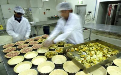 Small business switched off from electrification boom