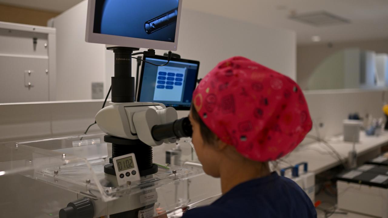 Laboratory technicians at an IVF clinic