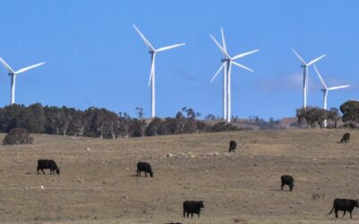 Super funds lagging on direct renewables investment