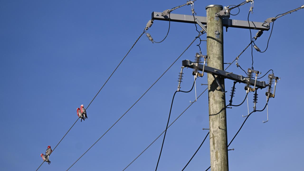 electricity