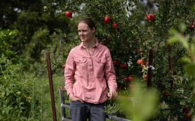 Climate change ‘loading the dice’ ahead of El Nino risk
