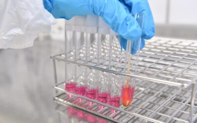 Deadly bird flu strain a ‘serious concern’ for wildlife