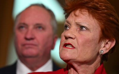 ‘Trainwreck’: One Nation forced to clarify housing plan