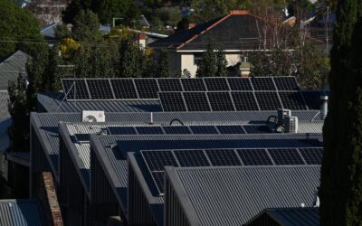 Clean energy COP hits fossil fuel phase-out demands