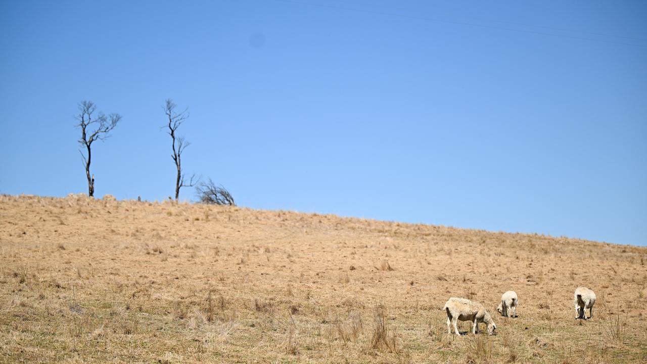 A drought-affected farm
