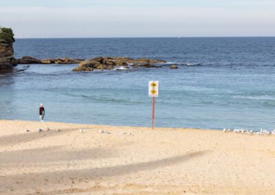 Cull caution urged after city beach shark attack