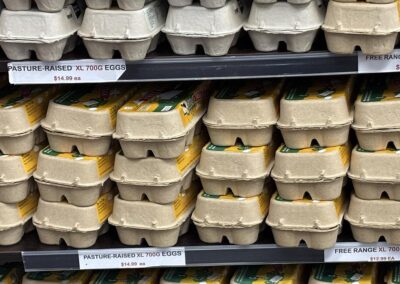 Chicken, egg exports blocked after bird flu discovery