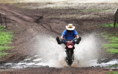 More uncertainty for farmers as El Nino declared