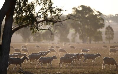 Watchdog flooded with complaints as dry spell persists