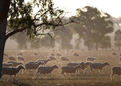 Watchdog flooded with complaints as dry spell persists