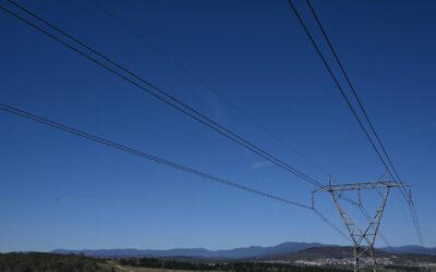 Battery bonanza reshaping grid transition game plan