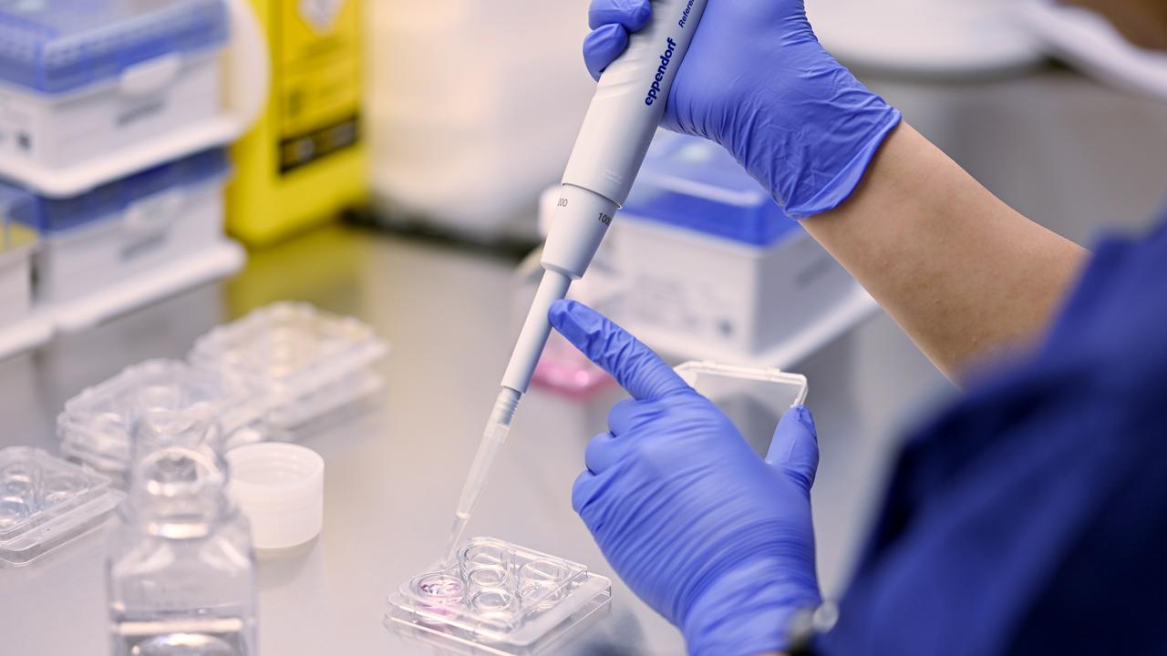 Laboratory technicians at an IVF clinic