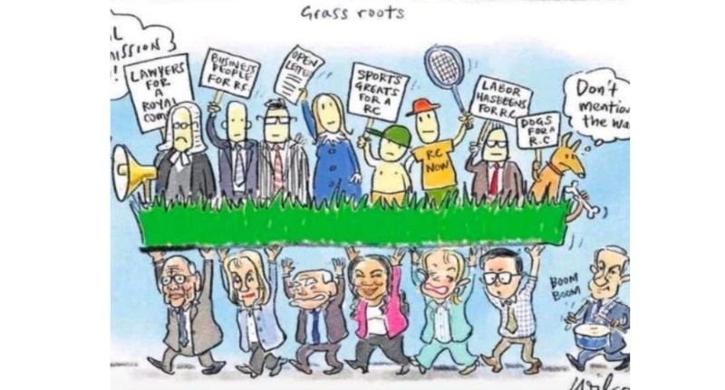 Cartoon by Cathy Wilcox