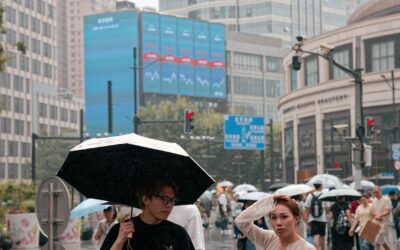 China’s May retail sales fall first time in three years