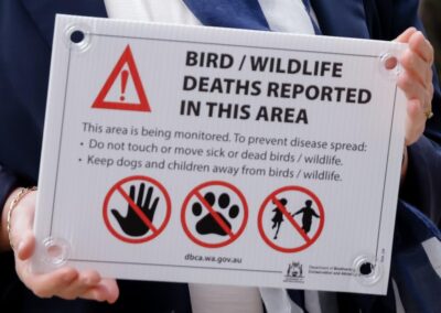 ‘Worst nightmare’: first native bird flu case confirmed