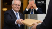 Morrisson and NACC