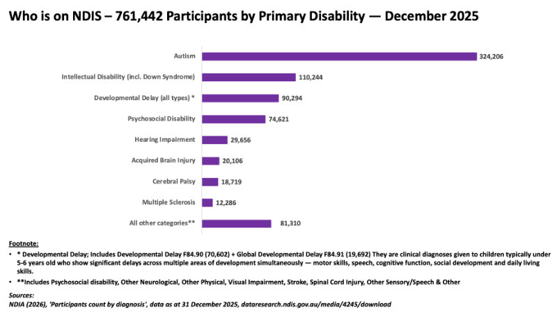 NDIS stats by disability