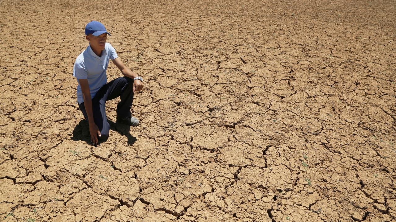 A farmer in South Africa during drought (file image)