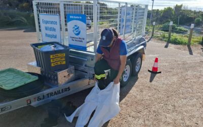 Bird flu surveillance ramped up on coastline