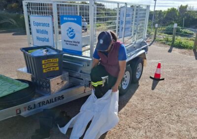 Bird flu surveillance ramped up on coastline