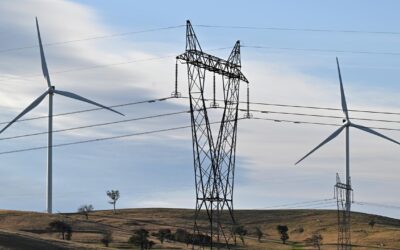 Half-price power: record renewables push prices down