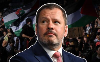 Labor MP blasts party’s ‘fear and loathing’ over Gaza