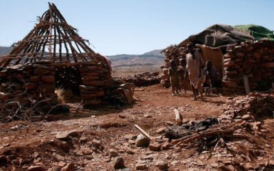 Are Australian military exports fuelling massacres in Sudan?