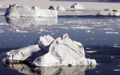 S’Korean container ship to test Arctic route to Europe