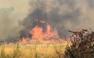 Scorched: rising natural disasters hit insurer’s profit